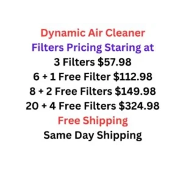 dynamic air cleaner replacement