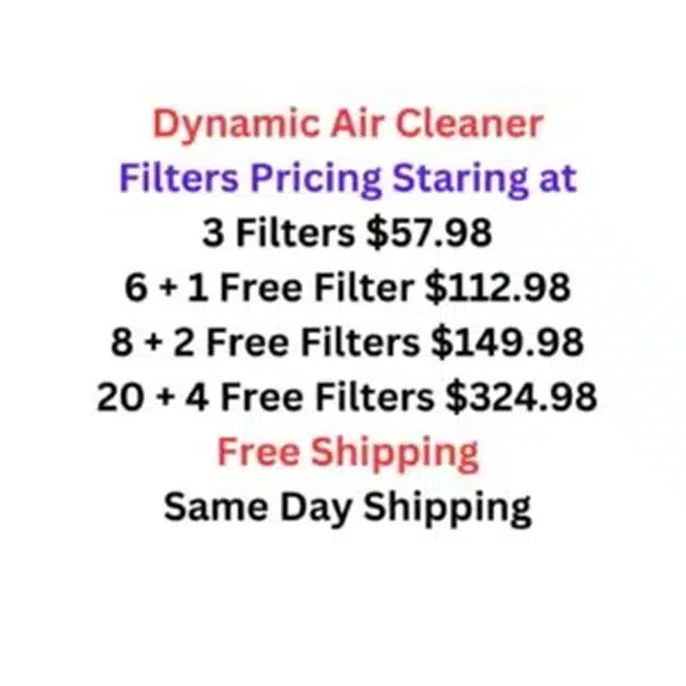 dynamic air cleaner replacement