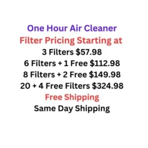 one hour air cleaner air filter