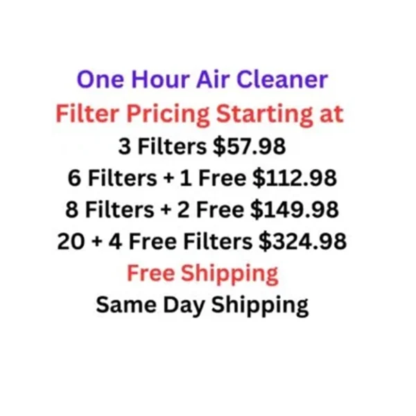 one hour air cleaner air filter