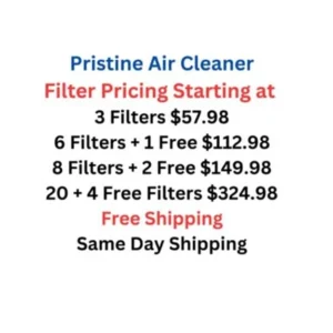 pristine air cleaner air filter